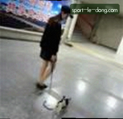 赵敏